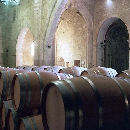 Residencia Real Del Castillo De Curiel Curiel de Duero