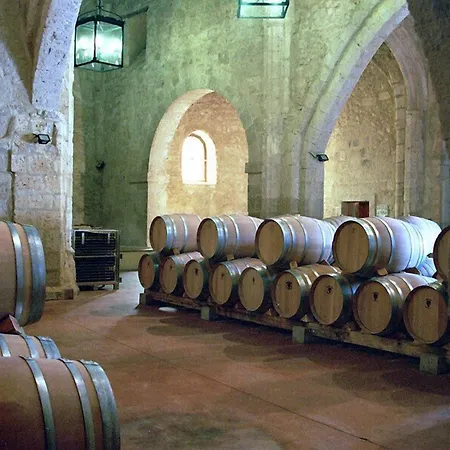 Hotel Residencia Real Del Castillo De Curiel Curiel de Duero