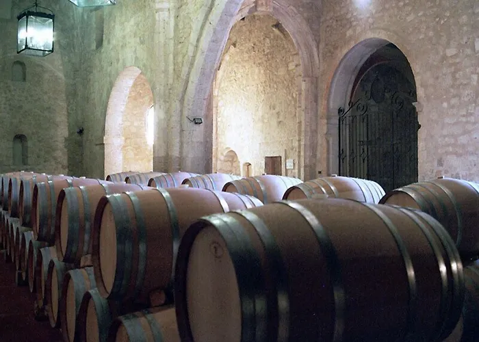 Residencia Real Del Castillo De Curiel Curiel de Duero