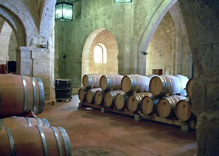 Otel Residencia Real Del Castillo De Curiel Curiel de Duero